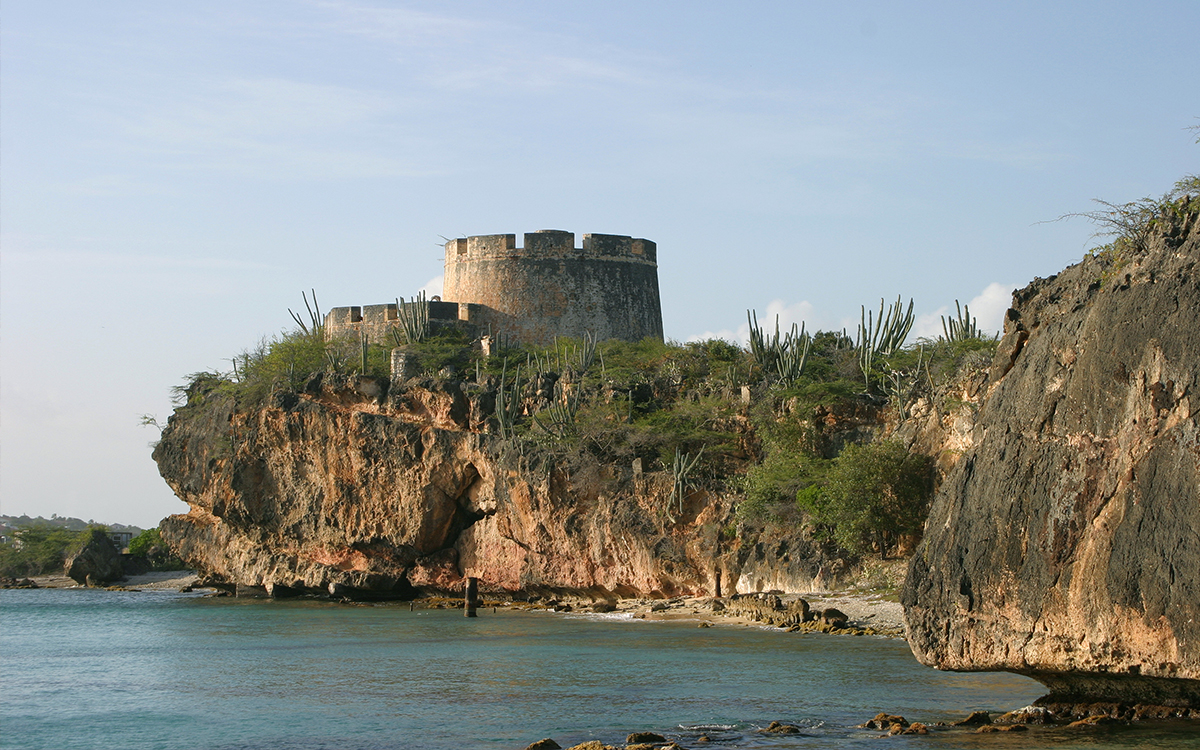 5x7 PBR PICS-fort