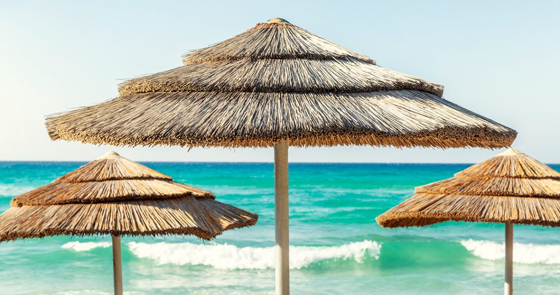 5x7 PBR PICS new palapa